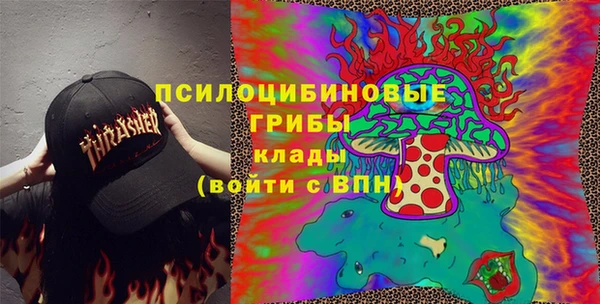 ГАЛЛЮЦИНОГЕННЫЕ ГРИБЫ Нягань
