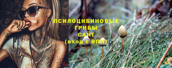 каннабис Осташков
