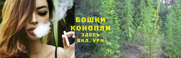 гидра Нязепетровск